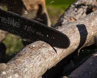 Picture of a chainsaw cutting through a tree branch 